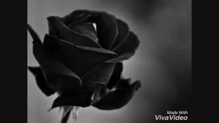 یادآوری ... قدر لحظه ها .....