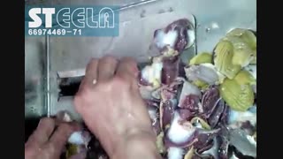 پوستکن سنگدان CO-P