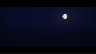 تریلر فیلم Traffik