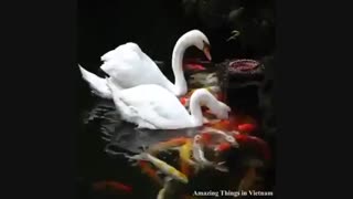 به یاد هم بودن