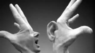 نوحه جغد : شاعر پرتو کرمانشاهی با خوانش علی محمدی