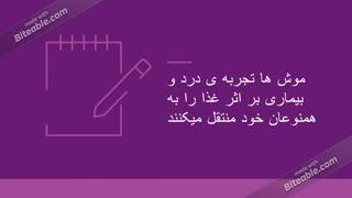 کنترل جمعیت موش (Biorotox)