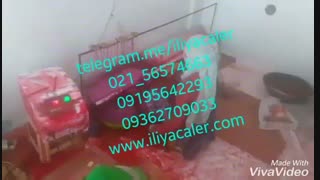 قیمت دستگاه مخمل پاش جدید ایلیاکالر 09195642293 علی حاتمی