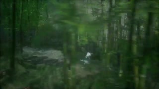 Hidden Dragon legend tehrancdsjop.com تهران سی دی شاپ