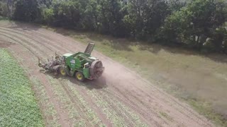 ویدئوی جالب از کشت در مزرعه خیار