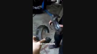 تفاوت ظاهر تی تی سی غیر اصلی بعد از گذشت 6 ماه