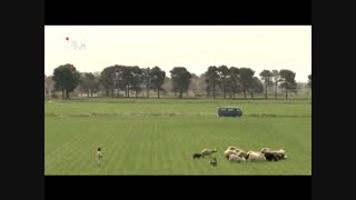 وضعیت سفید - قسمت سی و دوم