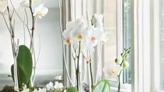 یاد تو قشنگ است : شاعر فردوس اعظم با آوای مریم بختیاری