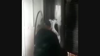 دستگاه کروم پاش ایلیاکالر09195642293علی حاتمی