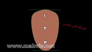 آموزش طراحی چهره - آموزشگاه نقاشی ایکاروس