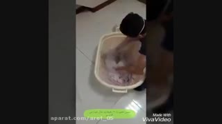 نحوه آماده کردن و اجرای بلکا و رومالین