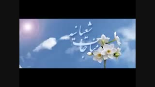 مناجات شعبانیه - میثم مطیعی