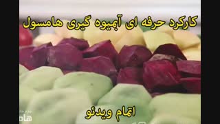 آبمیوه گیری هامسول مدل HS422 - خرید در sinbod.com