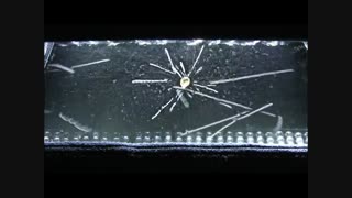 دستگاه مخصوص نمایش امواج رادیواکتیو عناصر مختلف Thermoelectric Cloud Chamber