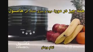 میوه و سبزی خشک کن هامسول مدل HS310 - خرید در sinbod.com