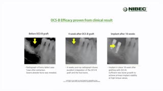 کمپانی نایبک