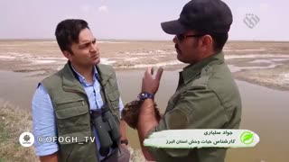 هوای تازه (۲) - ۵