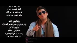 دانلود آهنگ شانیکو بنام منه دیوونه (لینک در توضیحات)