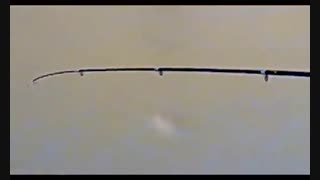 فیلم اموزش ماهیگیری قزل الا و ماهی ازاد