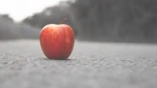 آمدی گریه کنی شعر بخوانی بروی : شاعر شهراد میدری با دکلمه ی صالح قدک زاده