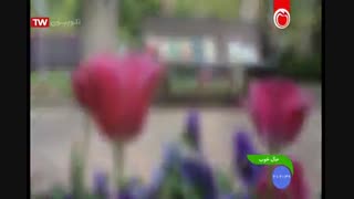 برنامه حال خوب-دکتر فکری-25-02-97 هایفوتراپی