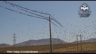 نمایشگاه عکس عکاسان جوان