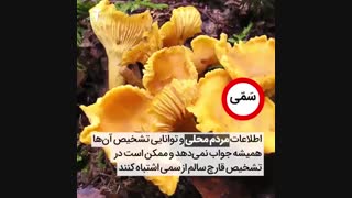 چگونه از قارچ خوردن نمیریم؟