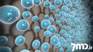 کلینیک دندانپزشکی،ایمپلنت،ارتودنسی