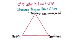 ویدئو ۵۸(what is love)