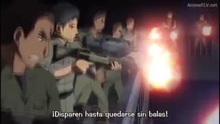Charlotte AMV