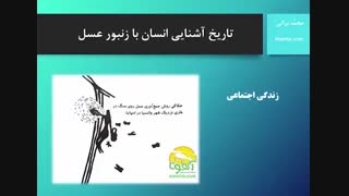 تاریخ آشنایی و بهره برداری انسان از زنبور عسل