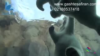 باغ وحش کانادا