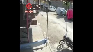 حمله عجیب میمون