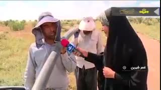 ایجاد بزرگترین باغ میوه یکپارچه در کشور