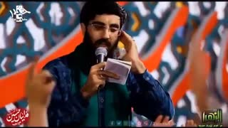 ضربانم حسنه،تاب و توانم حسنه - سید رضا نریمانی | مداحی امام حسن ع