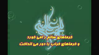 از این خرماها بخور