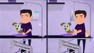 آرایشگاه حیوانات خانگی ژیوان