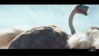 تور تایلند,تور پاتایا,تور پوکت,تور ساموئی(www.Thaigasht.com)