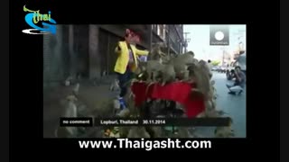 تور تایلند,تور پاتایا,تور پوکت,تور ساموئی(www.Thaigasht.com)