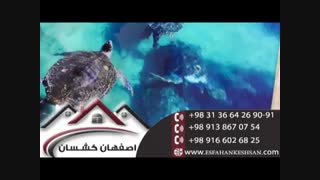فروش و نصب کفپوش اپوکسی در اصفهان 09138670754