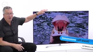 تلویزیون ال جی اولد 55B7V سری B7