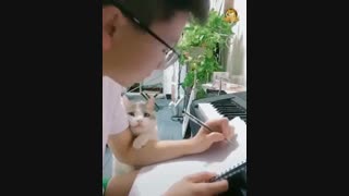 آخی چه نازه