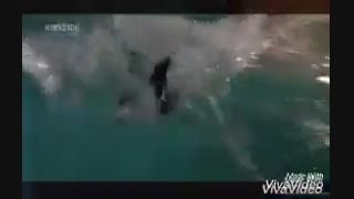 سالگرد یه سالگیییییی نمام مبااااااااااااااااااااااااررررررررررکککک