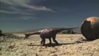 Nightwish_the greatest show on earth