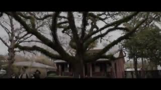 تریلر فیلم هالووین 2018