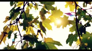 طبیعت خیره کننده اسکاتلند، زادگاه ادبیات و شعر بریتانیا