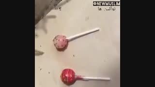 اهمیت حجاب و فرق دخترهای حجابی با دختران بی حجاب را باچشم خویش ببینید. اثبات حجاب با دلیل عقلی   زیرنویس:نوآئین ها