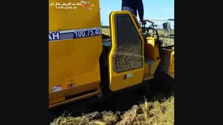 گروه صنعتی چیتا در بابلسر