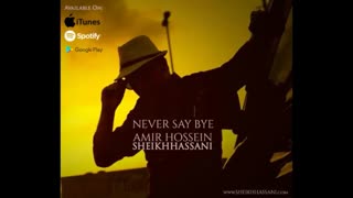 امیرحسین شیخ حسنی - هرگز نگو خداحافظ