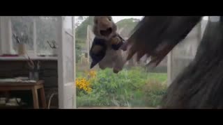 فیلم انیمیشن ( نبرد خرگوش‌ها 2018 ) دوبله فارسی